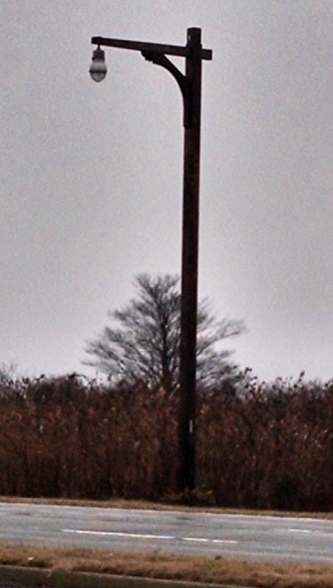 Meadowbrook State Parkway Lamp Post
