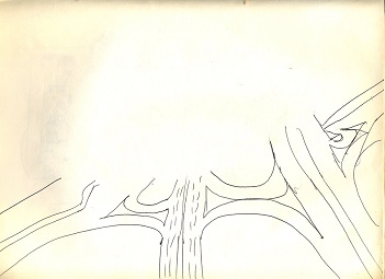 Sketch 9: 