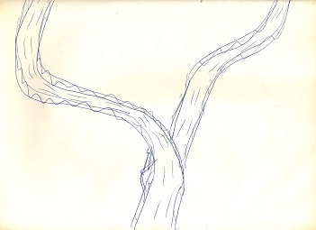 Sketch 31: 