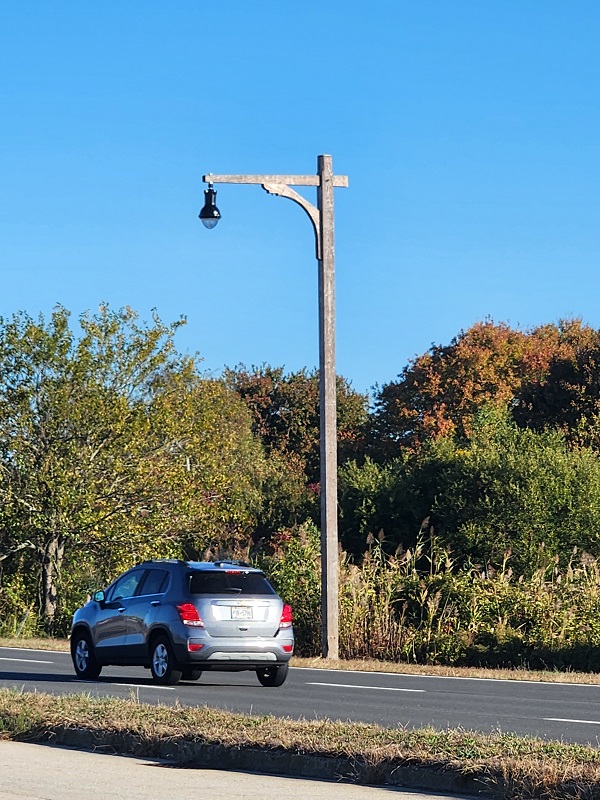 Meadowbrook State Parkway Lamp Post