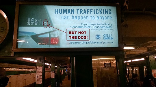 Human Trafficking and Dogs
